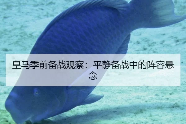 皇马季前备战观察：平静备战中的阵容悬念